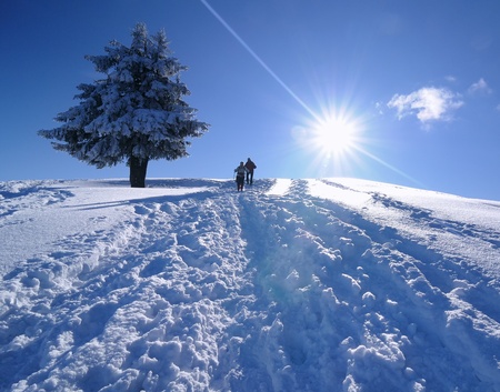 winter landscapeの写真素材