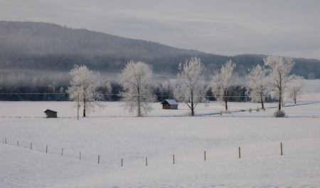 winter landscapeの写真素材