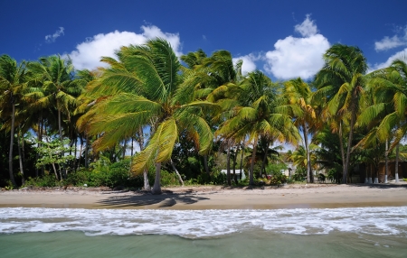 Puerto Ricoの写真素材