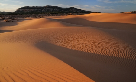 Coral Pink Sand Dunesの写真素材