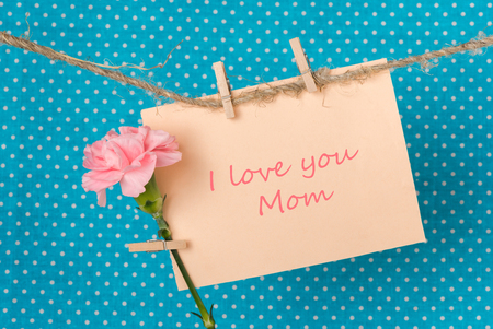 greeting card to Mother\'s Day with pink carnation and the inscription I love you Momの写真素材