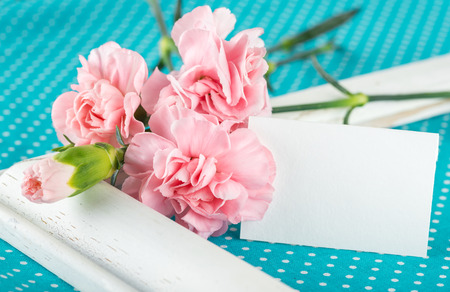 with pink carnations on a bright blue background with white polka dotsの写真素材