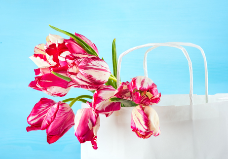 Beautiful bouquet of bright pink tulips, flowers in a paper bag on a blue backgroundの写真素材