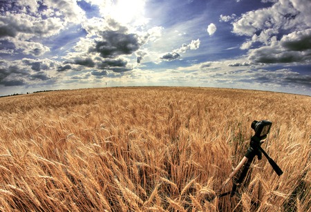Shooting time-lapse with camera on tripod. Wheat field.の写真素材