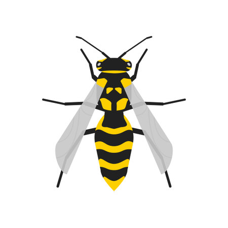 Vector wasp realistic illustration in flat style. Bee isolated concept.のイラスト素材