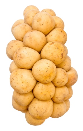   Southern Longsat fruit isolate on white backgroutの写真素材