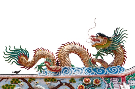 Glance of the Dragon on isolate white backgroundの写真素材