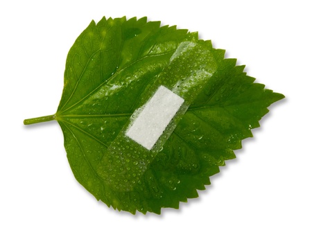 eco ecology or nature protection concept with leaf and bandage on isolated white background