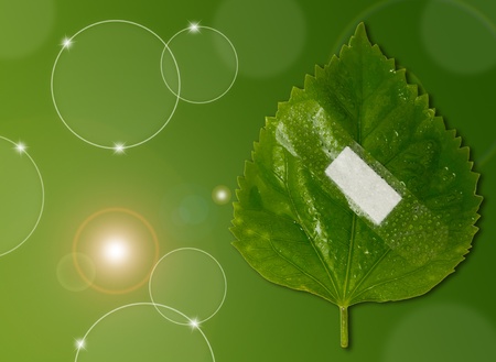 eco ecology or nature protection concept with leaf and bandage on green backgroundの写真素材
