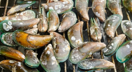 sea mussel  grill on kiln with flames in backgroundの写真素材