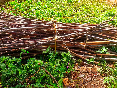 pile of dry wood branches on the grassの写真素材