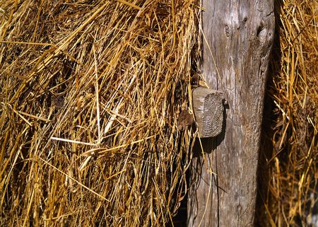 Wooden haystack - detailの写真素材