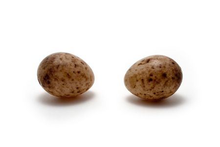 A pair of unhatched eggs of a Great titの写真素材
