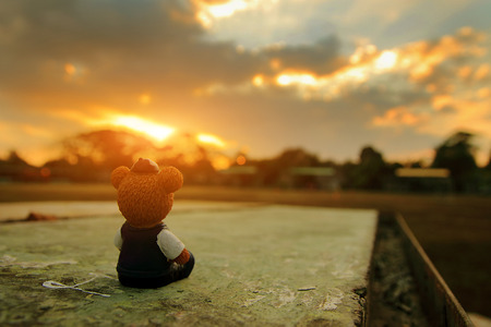 Alone bear seeing the sunの写真素材