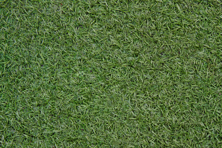 Green areaの写真素材