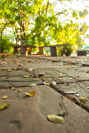 Autumn is comingの写真素材