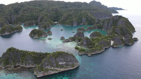 aerial view of beautiful green lagoon in the middle of tropical forest