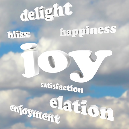 The word Joy and many related words and terms in 3d letters against a cloudy blue sky, including enjoyment, bliss, delight, elation and satisfactionの写真素材