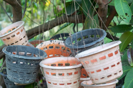 Selective focus of empty busket to grow and decorate house with plant and Flower.の写真素材