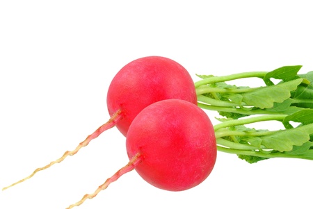 radish on a white backgroundの写真素材