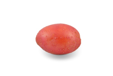 potato red on a white backgroundの写真素材