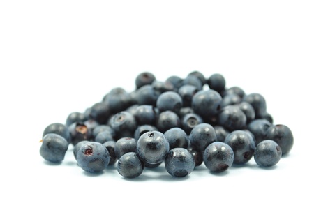 blueberries on a white backgroundの写真素材