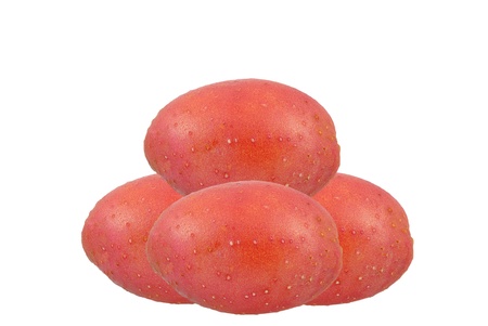 red potatoes on a white backgroundの写真素材