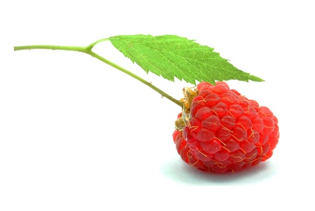 raspberry on a white background