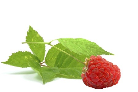 Raspberries on a white background