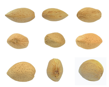 almond nutsの写真素材