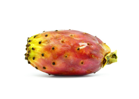 prickly pearの写真素材