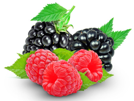 blackberry and raspberry isolated on a white background