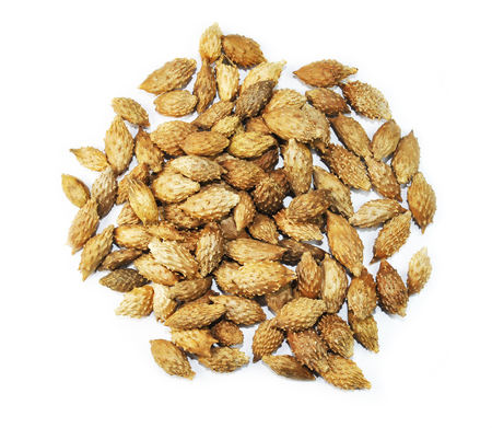 Fructus Xanthii Sibirici, chinese herbal medicine isolated. Cang Er Zi