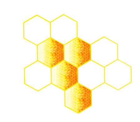 honeycomb frame, isolated on white