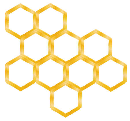 honeycomb isolated on a white backgroundの写真素材