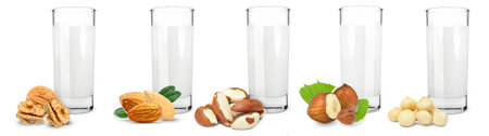 walnut, almond, brazil, hazelnut and macadamia nut milk isolated on white backgroundの写真素材