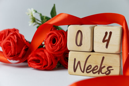 4 week gestational age milestone written on a wooden cube with red roses and ribbons, and a white backgroundの写真素材