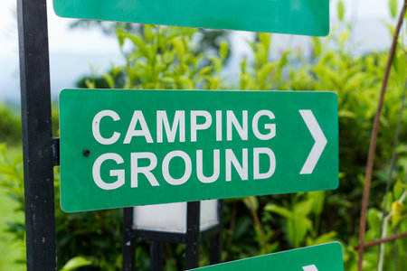 A green sign directing visitors to the camping ground, surrounded by greenery.の写真素材