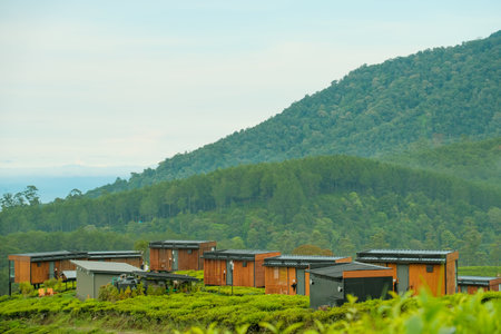 Scenic wooden cabins nestled in lush greenery with a mountainous backdrop.の写真素材