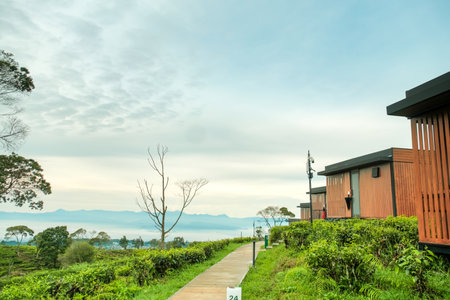 Scenic modern cabins nestled in lush greenery against a dramatic mountain backdrop.の写真素材