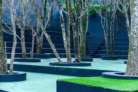 Modern outdoor space with trees in round planters and black tiered seating in a serene setting.