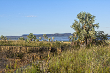 Madagascar, Ilakaka