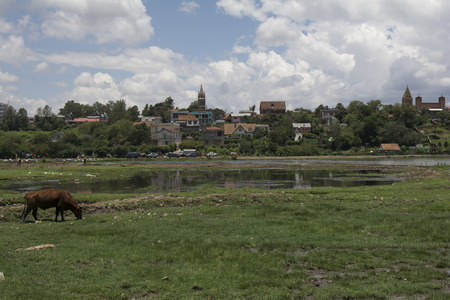 Madagascar. Antsirabeの写真素材