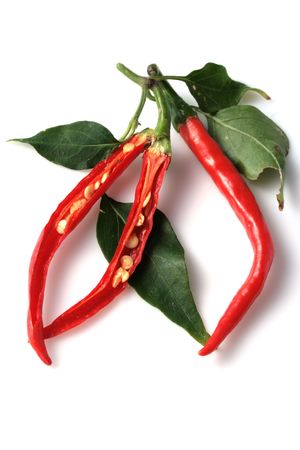 Red Hot Chili Peppers isolated on whiteの写真素材