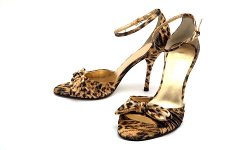 Elegant woman shoes isolated on the white backgroundの写真素材