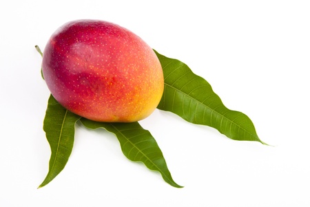 fresh mango fruit with cut and real mango leafs isolated on white backgroundの写真素材