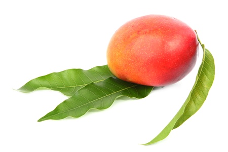 fresh mango fruit with cut and real mango leafs isolated on white backgroundの写真素材