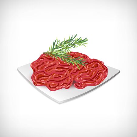 Realistic minced meat with spice plant rosemary twig on a white plate. Elements for cooking theme designs. Healthy organic farm food. Cooking Ingredients. Vector illustration.のイラスト素材