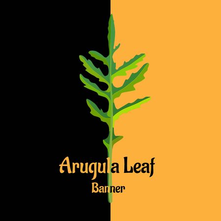 Poster with arugula leaf icon in flat style. Vegetable organic eco bio farm product design. Text Arugula Leaf. Rocket salad image. Eco garden theme banner with arugula leaf. Vector illustration.のイラスト素材