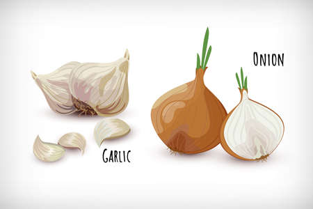 Set garden vegetables. Garlic cloves and onion in flat style. Vegetable organic eco bio farm product. Lettering Onion, Garlic. Spice plant condiment collection. Vector illustration.のイラスト素材